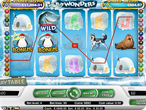 icy-wonders-2
